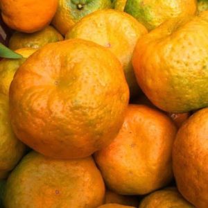 LARANJA CRAVO Un