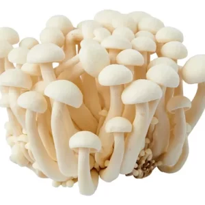 Cogumelo Shimeji Branco - 200g