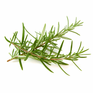 ALECRIM DESIDRATADO - 10g