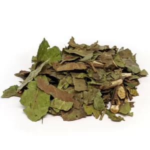 CHÁ VERDE - 15g