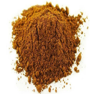 GUARANÁ EM PÓ - 100g