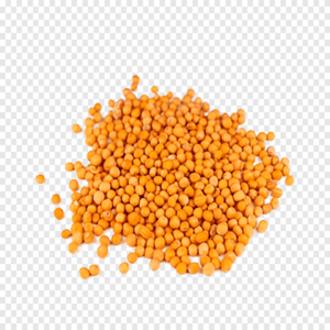 MOSTARDA DOURADA - 50g